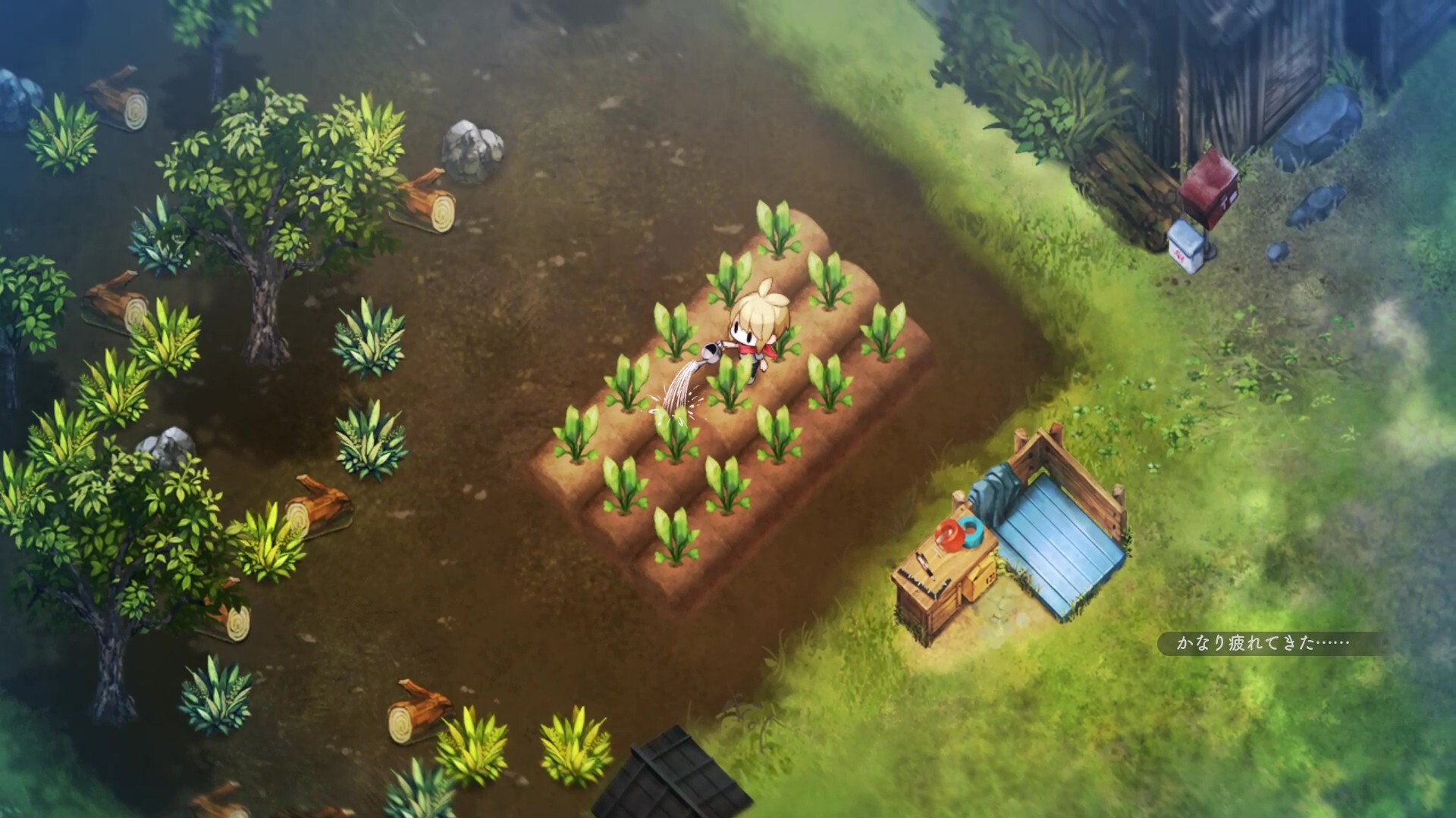 Village in the Shade screenshot: a small crop plot at the edge of a forest.